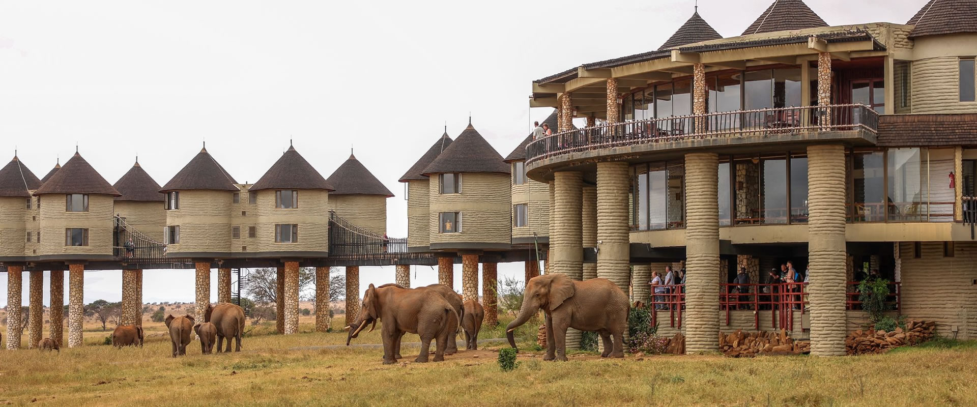 2 Days Taita Hills & Salt Lick Safari