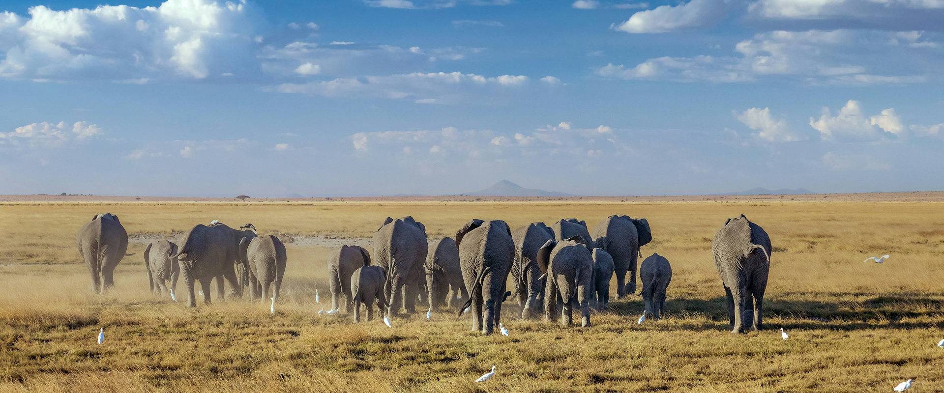 Amboseli