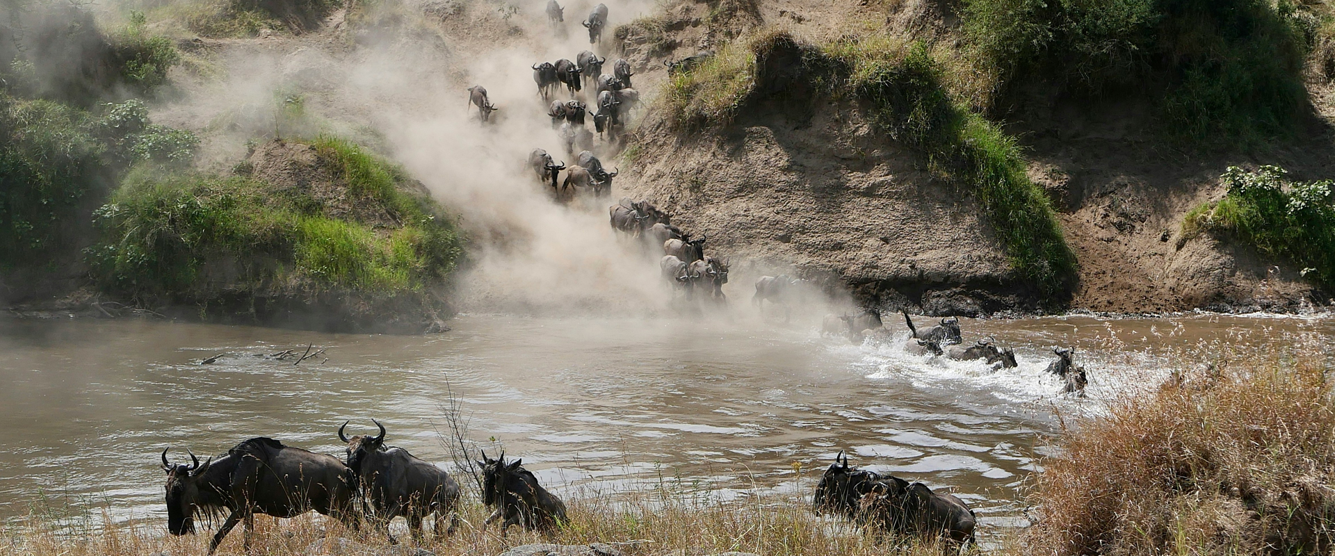 2 Days Taita Hills & Salt Lick Safari gallery photo 4