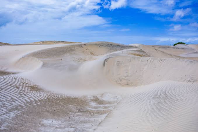 Mambrui Sand Dunes (Malindi)