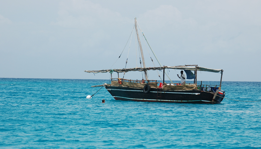 Shimoni & Kisite Marine Park (Full Day) / Full-Day Ocean Safari