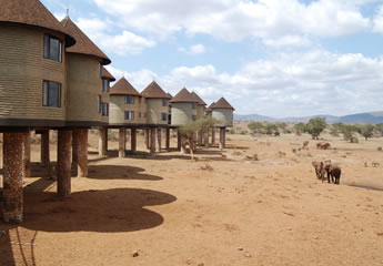 3 Days Tsavo East And Saltlick