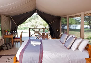 5 Days Tsavo East, west Voyager Ziwani and Amboseli safari